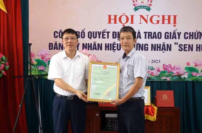 “Sen Hưng Yên” được cấp chứng nhận đăng ký nhãn hiệu ảnh 1