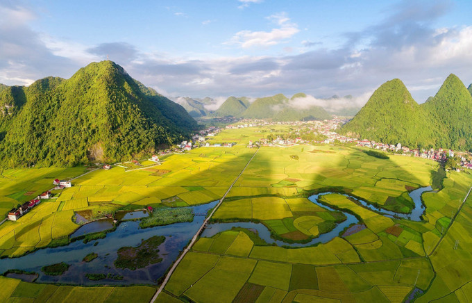 Đẹp rực rỡ mùa vàng ở thung lũng Bắc Sơn tháng 7/2022. Ảnh: Anh Tuấn – TTXVN Rực rỡ mùa vàng ở thung lũng Bắc Sơn ảnh 2