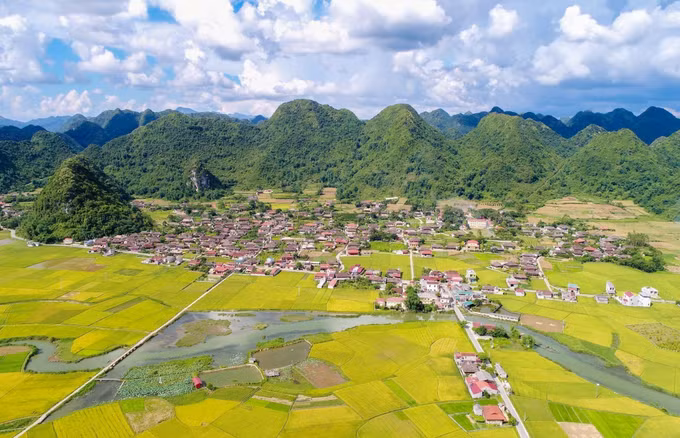 Rực rỡ mùa vàng ở thung lũng Bắc Sơn ảnh 1