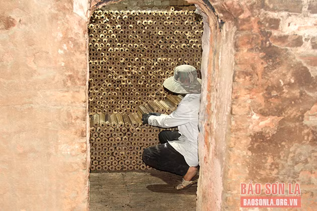 Đa giá trị từ tái tạo phụ phẩm nông nghiệp ảnh 2