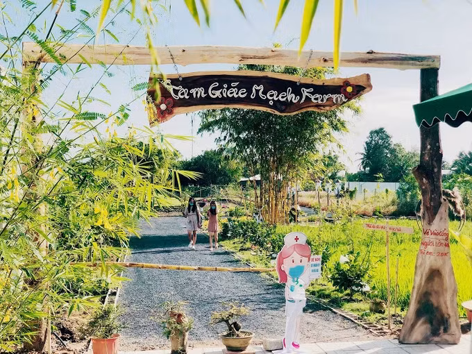 Cần Thơ phát triển du lịch gắn với lợi thế nông nghiệp văn hóa, làng nghề ảnh 1