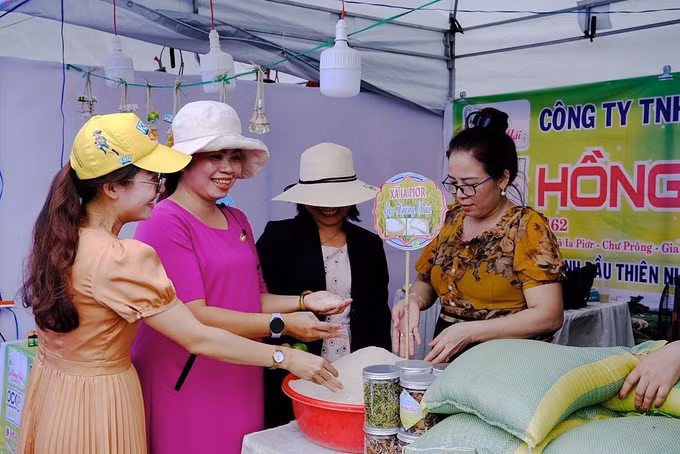 Gia Lai kết nối, giới thiệu các mô hình sinh kế cho phụ nữ ảnh 4