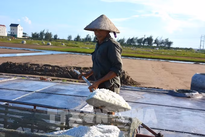 Vực dậy nghề làm muối ở huyện Giao Thủy ảnh 1