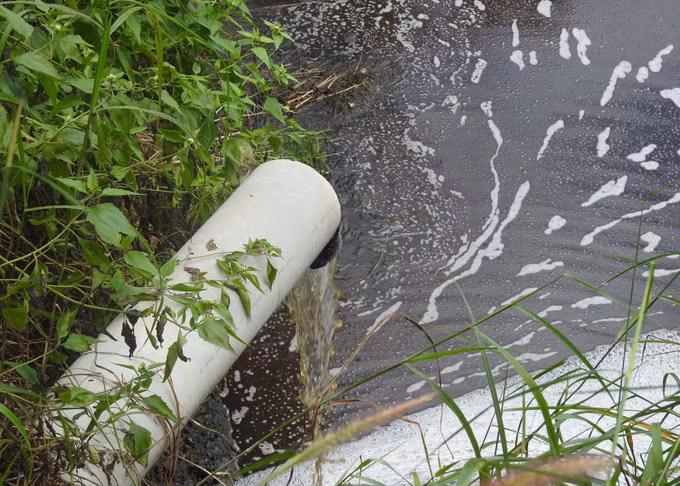 Kiểm tra, xác minh thông tin phản ánh về tình trạng ô nhiễm trại nuôi lợn ở huyện Đăk Hà ảnh 2