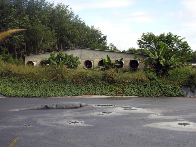 Hồ Biogas phía sau trại lợn. Ảnh: Cao Nguyên - TTXVN Kiểm tra, xác minh thông tin phản ánh về tình trạng ô nhiễm trại nuôi lợn ở huyện Đăk Hà ảnh 1