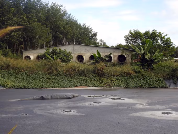 Kiểm tra, xác minh thông tin phản ánh về tình trạng ô nhiễm trại nuôi lợn ở huyện Đăk Hà ảnh 1