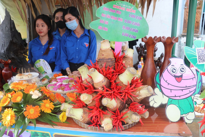 Trưng bày sản phẩm khoai môn tại Ngày hội. Ảnh: Nguyễn Văn Trí - TTXVN Tổ chức Ngày hội Khoai môn năm 2023 tại huyện Lấp Vò ảnh 1