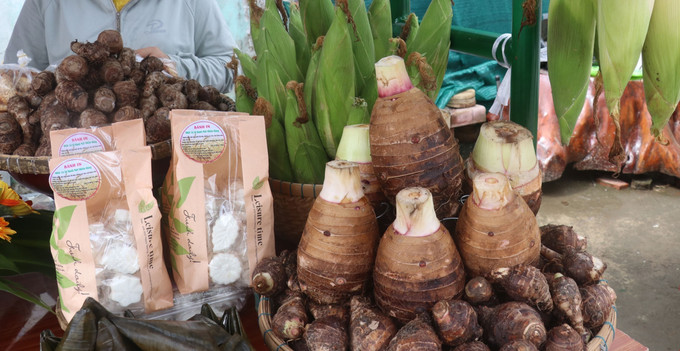 Trưng bày sản phẩm khoai môn tại Ngày hội. Ảnh: Nguyễn Văn Trí - TTXVN Tổ chức Ngày hội Khoai môn năm 2023 tại huyện Lấp Vò ảnh 2