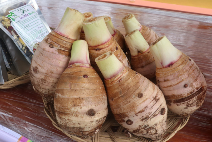Trưng bày sản phẩm khoai môn tại Ngày hội. Ảnh: Nguyễn Văn Trí - TTXVN Tổ chức Ngày hội Khoai môn năm 2023 tại huyện Lấp Vò ảnh 4