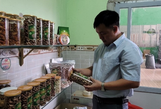 Anh Nguyễn Văn Thuận, quản lý tại Cơ sở chế biến hạt điều Nam Long kiểm tra sản phẩm trước khi đưa ra thị trường tiêu thụ. Ảnh: Hoàng Nhị - TTXVN Giải bài toán tiêu thụ nông sản (Bài 3) ảnh 2