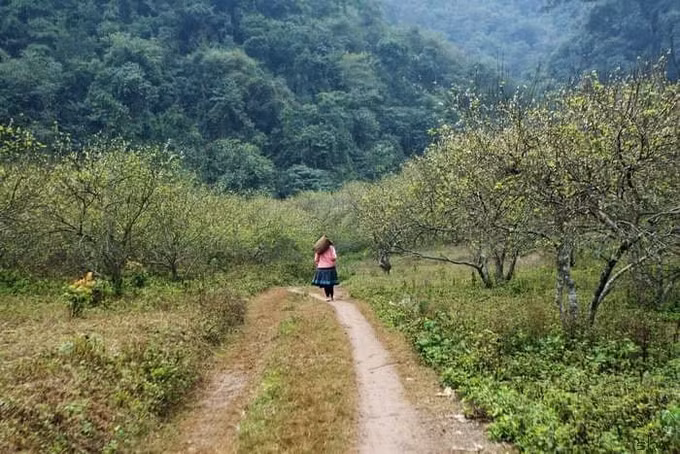 Tổ chức cuộc thi ảnh "Phụ nữ với gia đình và xã hội" ảnh 1