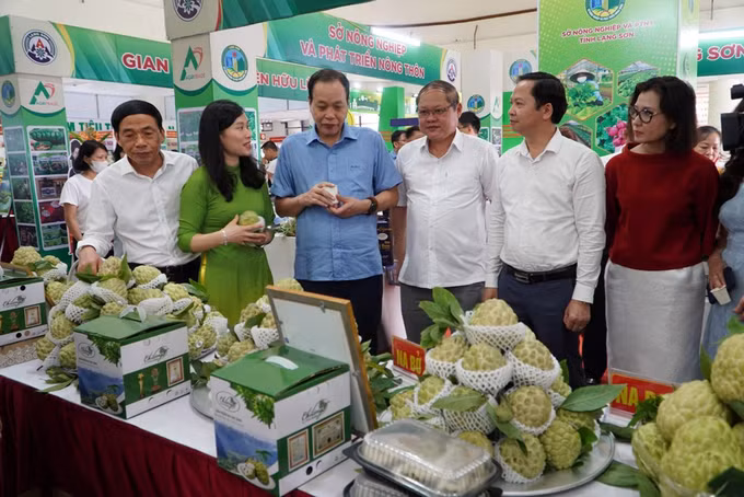 Khai mạc phiên chợ na và sản phẩm OCOP tại Hà Nội ảnh 1