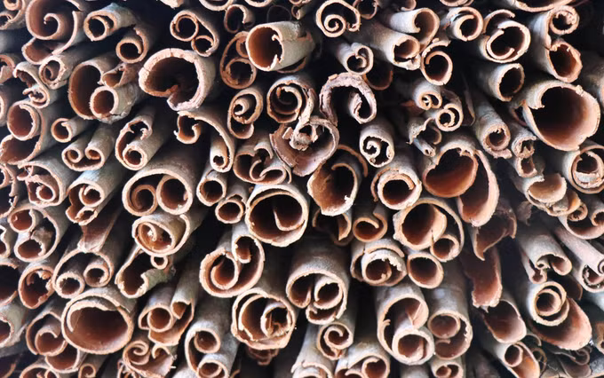 Nhân rộng, phát triển sản phẩm dược liệu OCOP ở Quảng Ngãi ảnh 3