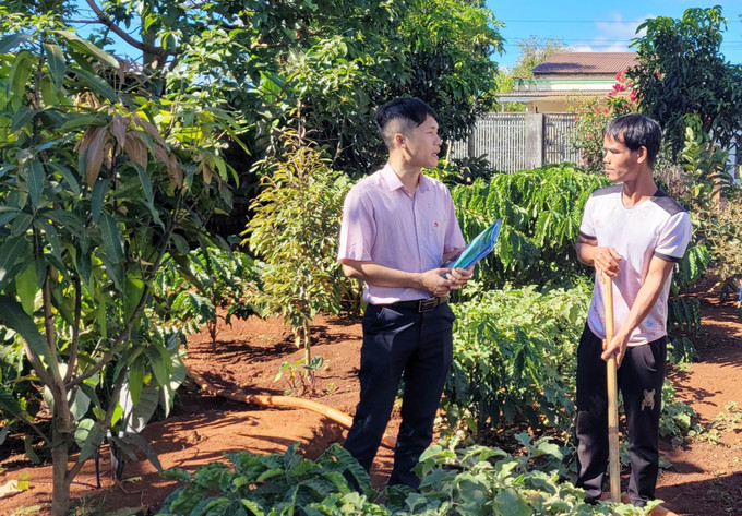 Anh Chhônh (phải), sinh năm 1992, trú tại xã Glar, huyện Đăk Đoa có cơ hội làm lại cuộc đời nhờ nguồn vốn chính sách theo Quyết định 22/2023/QĐ-TTg. Ảnh: Hoài Nam - TTXVN Làm lại cuộc đời nhờ vốn vay chính sách ở Gia Lai ảnh 1