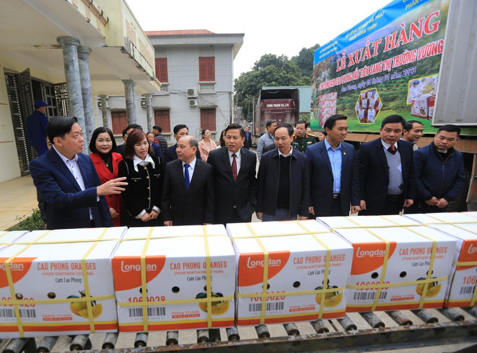 Các đại biểu tham quan dây chuyền vận chuyển sản phẩm cam Cao Phong tại Công ty TTHH MTV Cao Phong. Ảnh: Trọng Đạt -TTXVN Xuất chuyến hàng cam Cao Phong đầu tiên sang Anh ảnh 3