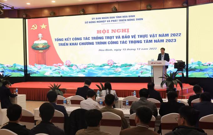 Hòa Bình chuyển đổi cơ cấu cây trồng gắn với nhu cầu thị trường ảnh 2