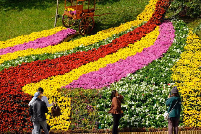 Festival hoa Đà Lạt thu hút hơn 1,5 triệu lượt du khách ảnh 4