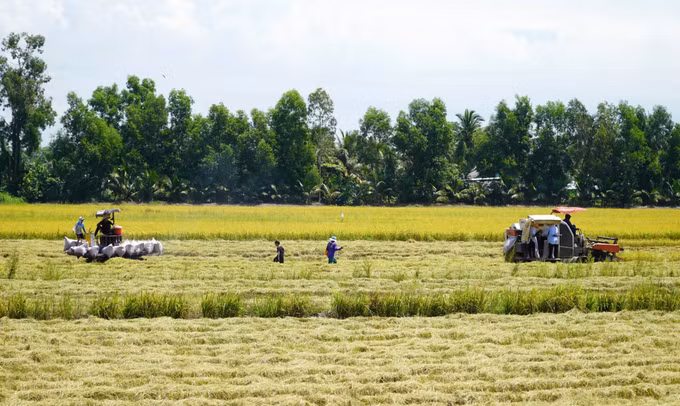 Phát triển bền vững Đồng bằng sông Cửu Long: Thuận thiên để thích ứng (Bài cuối) ảnh 1