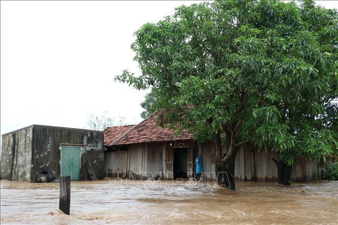 Nhiều nhà dân ở xã Cư Kbang, huyện Ea Súp bị ngập do mưa lũ. Ảnh: Tuấn Anh – TTXVN Mưa lớn gây ngập lụt cục bộ tại huyện Ea Súp ảnh 5