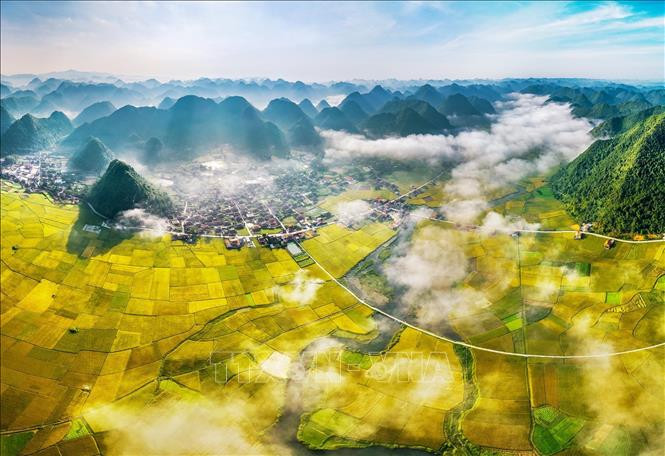 Mùa vàng ở Thung lũng Bắc Sơn, huyện Bắc Sơn, tỉnh Lạng Sơn. Ảnh: TTXVN phát Xem xét dự thảo đề án thành lập và phát triển Công viên địa chất toàn cầu tỉnh Lạng Sơn ảnh 4