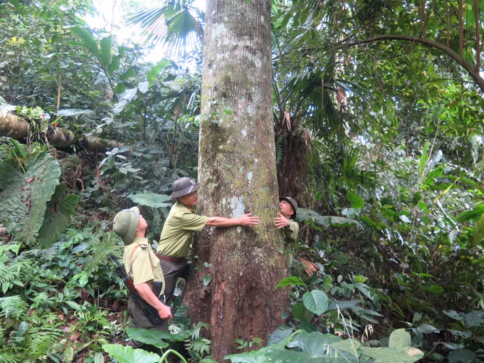 Tuyên Quang bảo vệ rừng gắn với bảo tồn các loài động vật quý hiếm ảnh 2