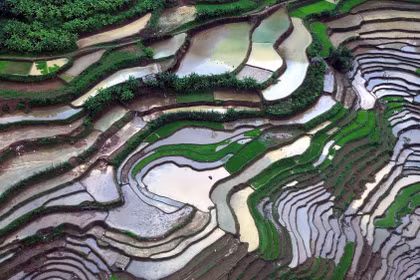 Mê hoặc ruộng bậc thang mùa nước đổ ở Mường La