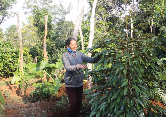 Thay đổi nếp nghĩ, cách làm kinh tế của phụ nữ dân tộc thiểu số Đắk Lắk ảnh 1