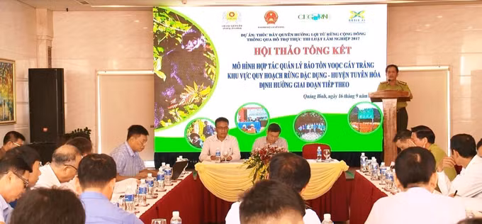 Bảo vệ vọoc gáy trắng trong khu vực quy hoạch rừng đặc dụng tại Quảng Bình ảnh 3