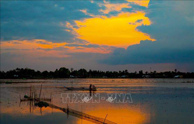 Những buổi chiều rất đặc trưng của người dân nơi đây mùa nước lên. Ảnh: Duy Khương - TTXVN Hậu Giang mùa nước nổi ảnh 7