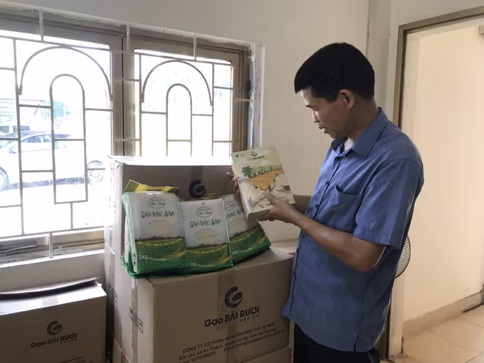 Gạo Bãi Rươi: sản phẩm sạch hữu cơ ở Tứ Kỳ Hải Dương ảnh 3