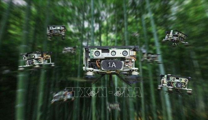 Thử nghiệm máy bay không người lái vượt rừng trúc thành công tại Trung Quốc. Ảnh: AFP/TTXVN Thử nghiệm thành công máy bay không người lái trong môi trường hoàn toàn tự nhiên ảnh 1
