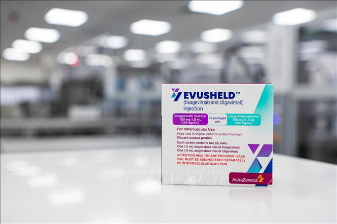 Hỗn hợp kháng thể đơn dòng Evusheld do hãng dược phẩm AstraZeneca phát triển. Ảnh: AFP/TTXVN AstraZeneca cho biết thuốc Evusheld có thể vô hiệu hóa các dòng phụ của biến thể Omicron ảnh 1