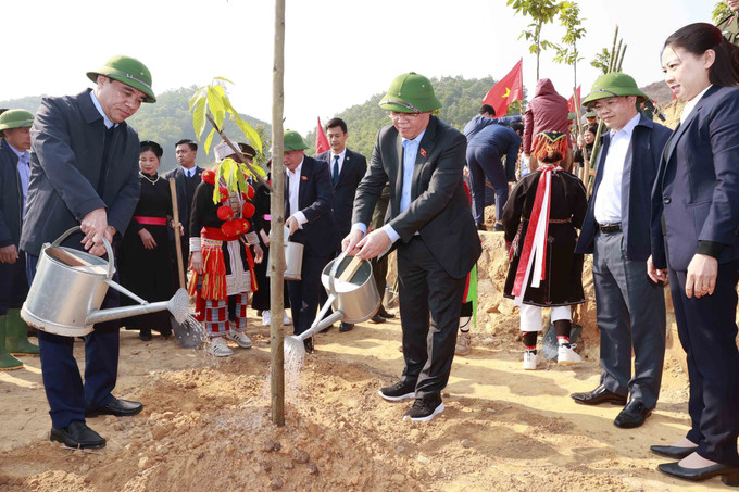 Chủ tịch Quốc hội Vương Đình Huệ tham gia trồng cây tại xã Chân Sơn, huyện Yên Sơn, tỉnh Tuyên Quang. Ảnh: Doãn Tấn - TTXVN Chủ tịch Quốc hội Vương Đình Huệ dự Lễ phát động thi đua và Tết trồng cây tại Tuyên Quang ảnh 3