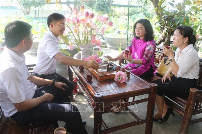 Du khách được tham gia trải nghiệm các khâu kỹ thuật trồng, thu hoạch, chế biến sen và thưởng thức nghệ thuật ẩm thực và tham quan mua sắm các sản phẩm từ sen. Ảnh: Bích Huệ - TTXVN Phát triển cây sen gắn với du lịch ở xã Kim Liên ảnh 4