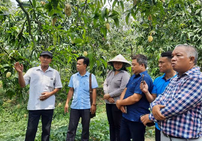 Đồng Tháp phát triển du lịch nông nghiệp gắn với sản phẩm OCOP ảnh 2