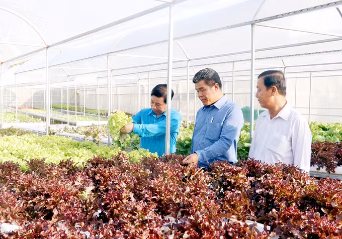 Phú Quốc phát triển nông nghiệp sinh thái gắn với du lịch ảnh 1