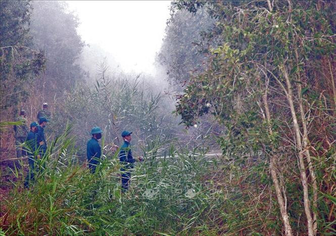 Hiện trường vụ cháy rừng tại Nông trường 402, xã Khánh Bình Tây, huyện Trần Văn Thời. Ảnh: Huỳnh Thế Anh-TTXVN Cà Mau nỗ lực bảo vệ rừng trước nguy cơ cháy trong mùa khô hanh ảnh 1