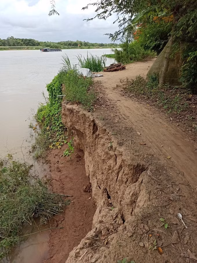 An Giang: Đảm bảo an toàn cho người dân tại vị trí sạt lở bờ Tây sông Hậu ảnh 2