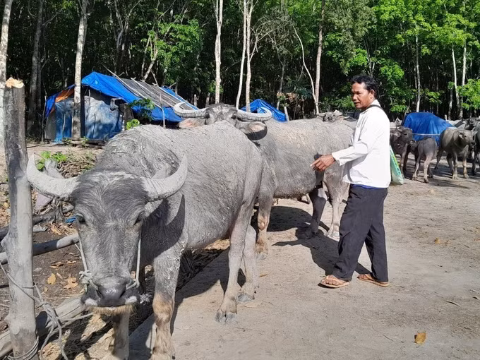 Đổi thay nông thôn mới vùng biên Bình Phước ảnh 3