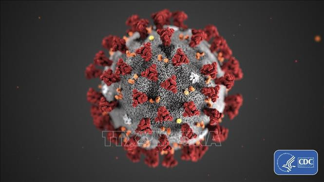 Hình ảnh minh họa virus SARS-CoV-2 gây bệnh COVID-19. Ảnh: AFP/TTXVN Bộ Y tế điều chỉnh định nghĩa ca bệnh COVID-19 ảnh 1