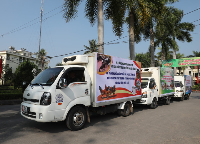 Đoàn xe tiêu thụ sản phẩm gà và dê của huyện Yên Thế xuất hành. Ảnh: Danh Lam -TTXVN Xúc tiến tiêu thụ gà đồi Yên Thế ảnh 4