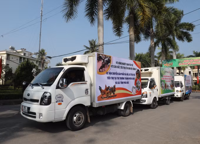 Xúc tiến tiêu thụ gà đồi Yên Thế ảnh 4