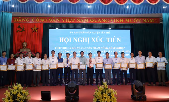 Xúc tiến tiêu thụ gà đồi Yên Thế ảnh 6
