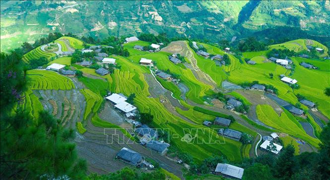 Ruộng lúa bậc thang ở xã Bản Phùng, huyện Hoàng Su Phì (Hà Giang). Ảnh: Nguyễn Chiến-TTXVN Bảo đảm nhu cầu sử dụng đất để thực hiện Chiến lược phát triển kinh tế - xã hội ảnh 1