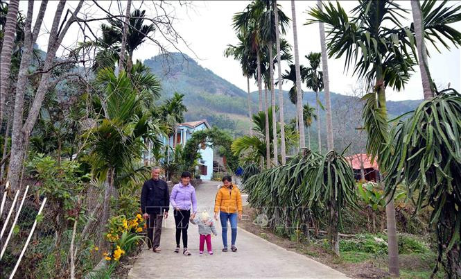 Đường bê tông ở xã Tân Tiến, huyện Yên Sơn (Tuyên Quang) được làm đến tận từng hộ gia đình. Ảnh TTXVN Tạo sự chuyển biến mạnh mẽ trong lĩnh vực nông nghiệp, nông dân, nông thôn ảnh 2