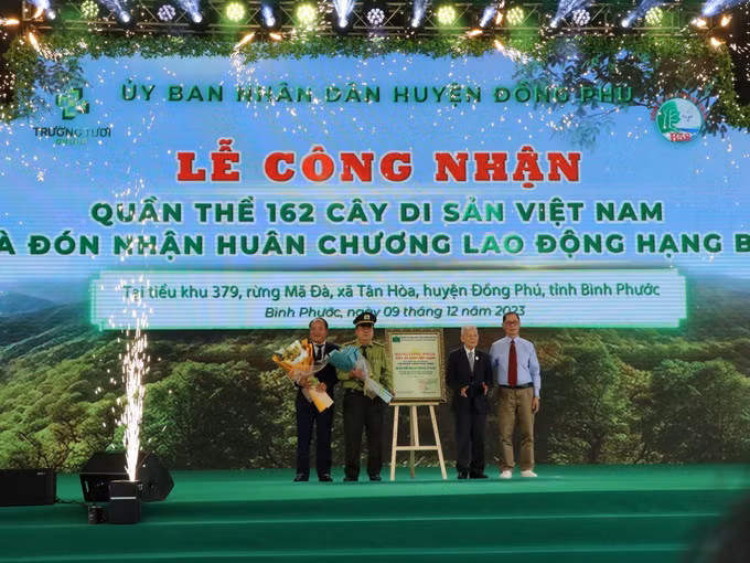 Bình Phước: Công nhận quần thể 162 cây di sản Việt Nam ảnh 3