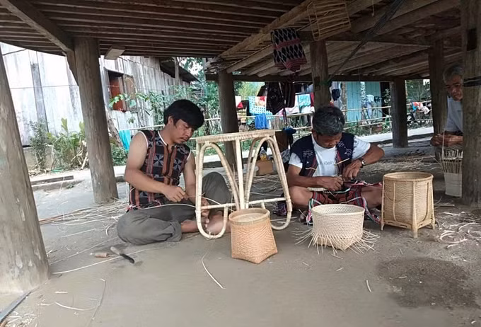 Hiệu quả dự án phát triển chuỗi giá trị mây, tre, lá và dược liệu ở Quảng Nam ảnh 1