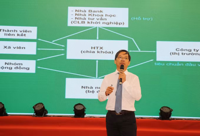 Thu hút đầu tư vùng miền núi Quảng Ngãi ảnh 1