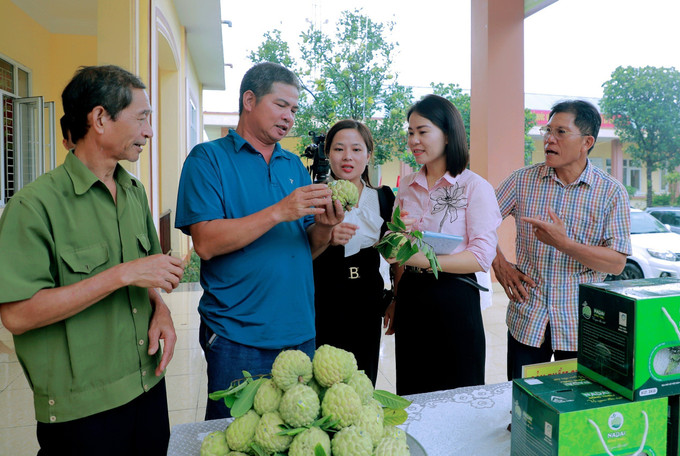 Na Đông Triều được biết đến có vị ngọt thơm, dẻo, có giá trị kinh tế cao. Ảnh: Thanh Vân-TTXVN Gia tăng giá trị trái na Đông Triều ảnh 1