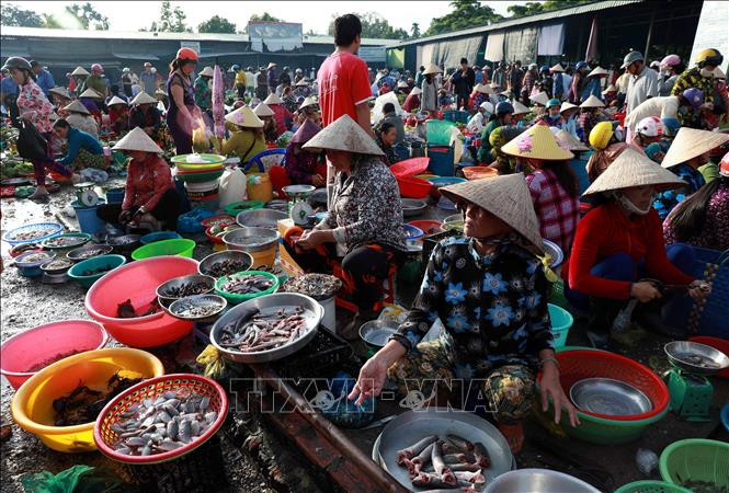 Một khu chợ với sản vật mùa nước nổi phong phú của Hậu Giang. Ảnh: Duy Khương - TTXVN Hậu Giang mùa nước nổi ảnh 11
